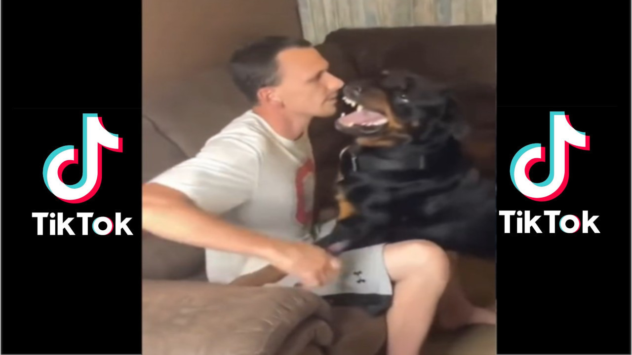 NE PLAŠI SE SMRTI: Fenomenalan TikTok snimak čoveka koji seče nokte psu koji reži