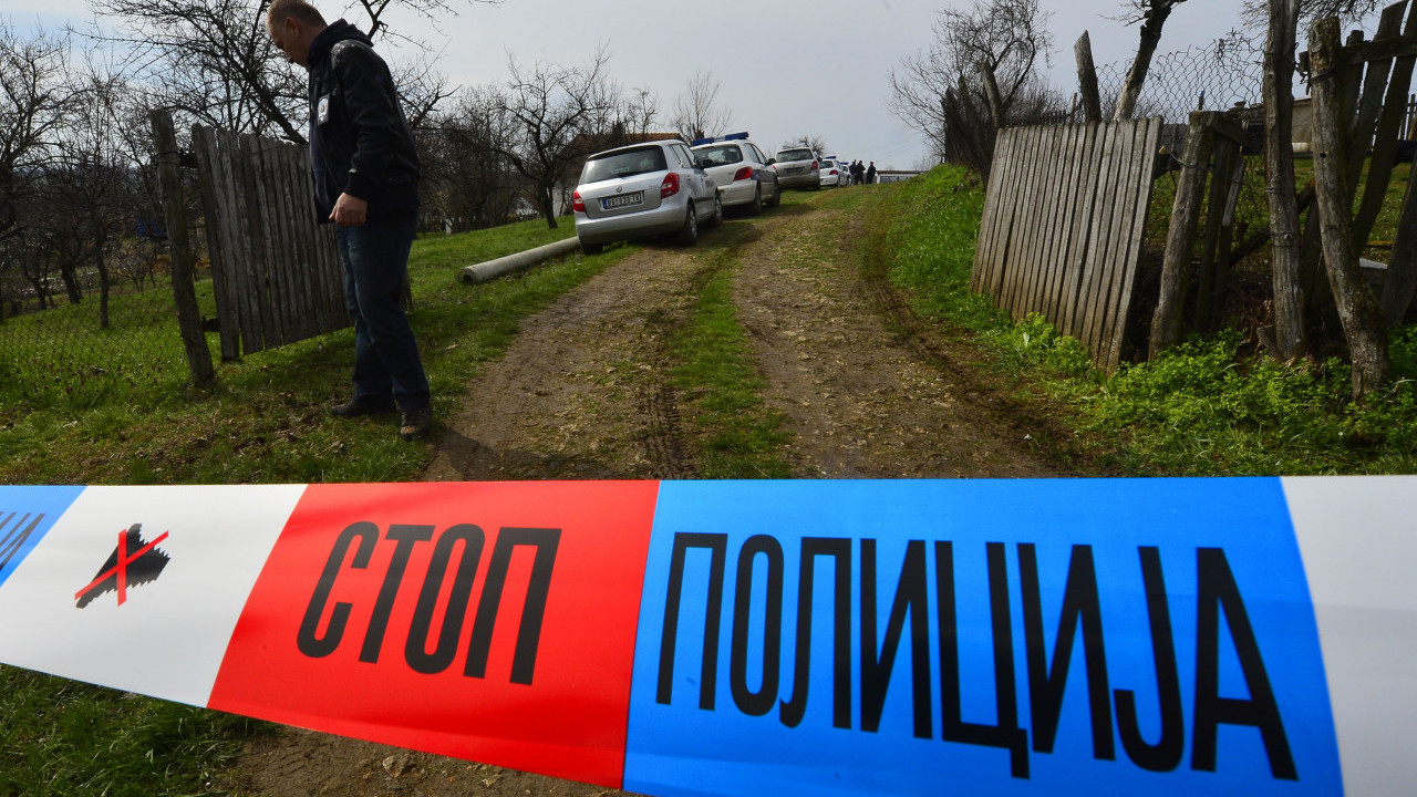 USPEŠNA AKCIJA POLICIJE: Marihuana umesto paradajza u plasteniku (FOTO)