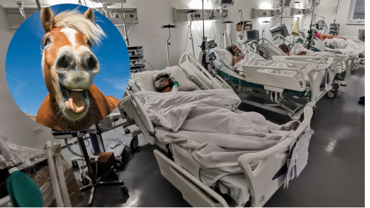 LEKARI U OKLAHOMI OČAJNI: Bolnice pune predoziranih konjskim lekom