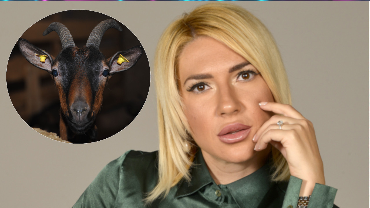 ЈОВАНА ЈЕРЕМИЋ НЕ ПРЕСТАЈЕ ДА ШОКИРА: Шминкала сам козу, морала је да буде најлепша