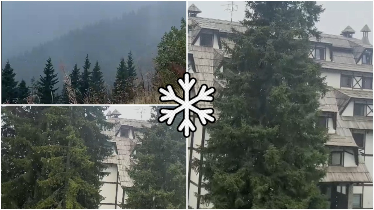 PAO PRVI SNEG U SRBIJI: Da li nam stiže zima umesto jeseni? (VIDEO)