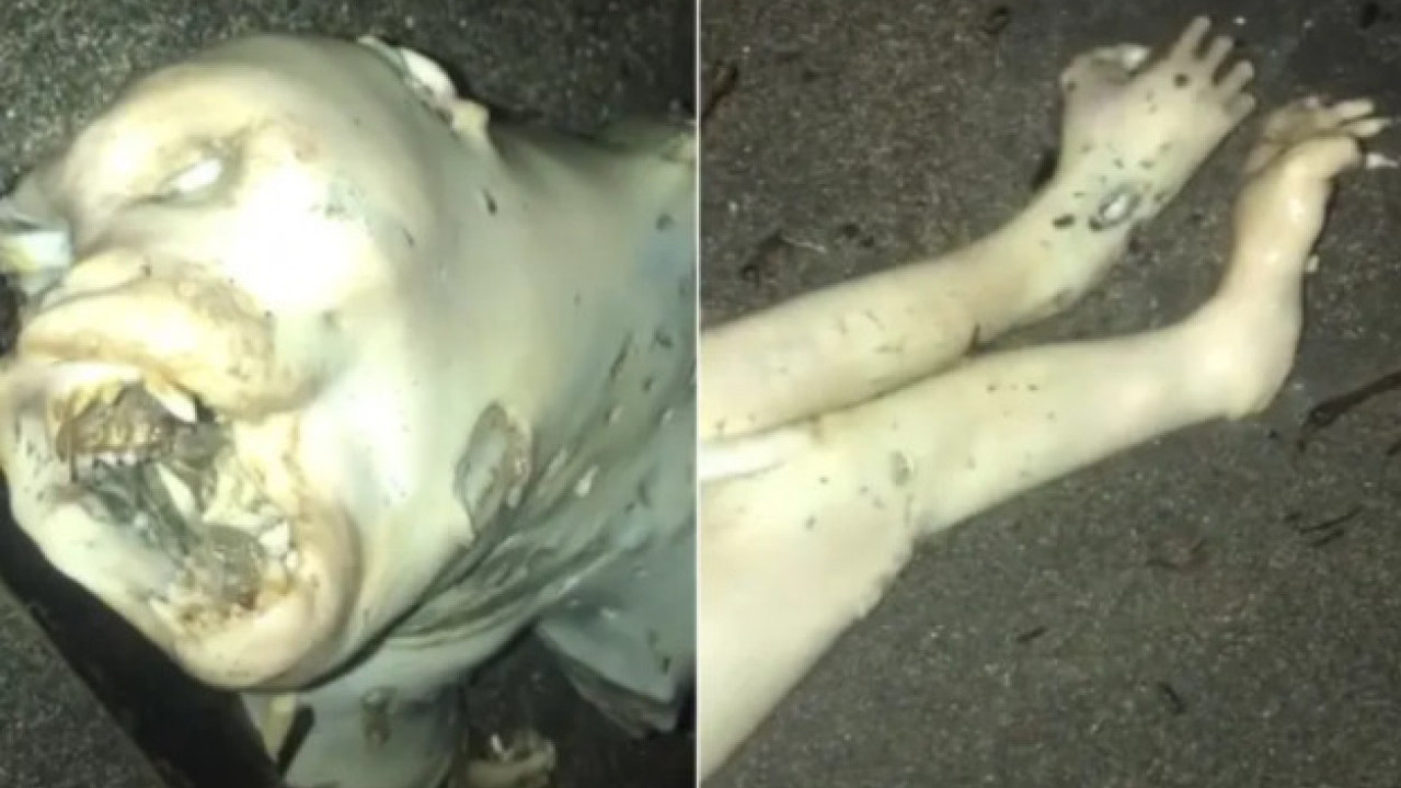 ŠTA JE OVO? Snimak čudnog leša na plaži zgrozio internet