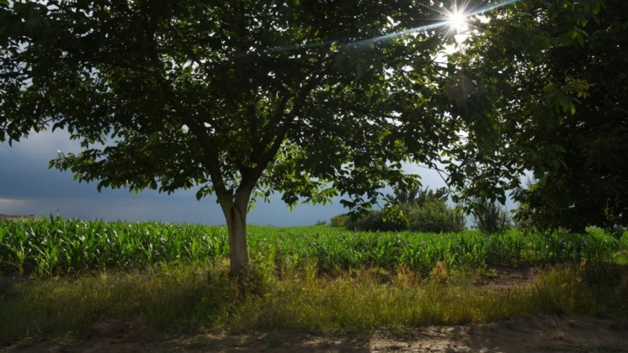 PROGNOZA ZA  4. OKTOBAR: Letnje temperature uz pojačan vetar
