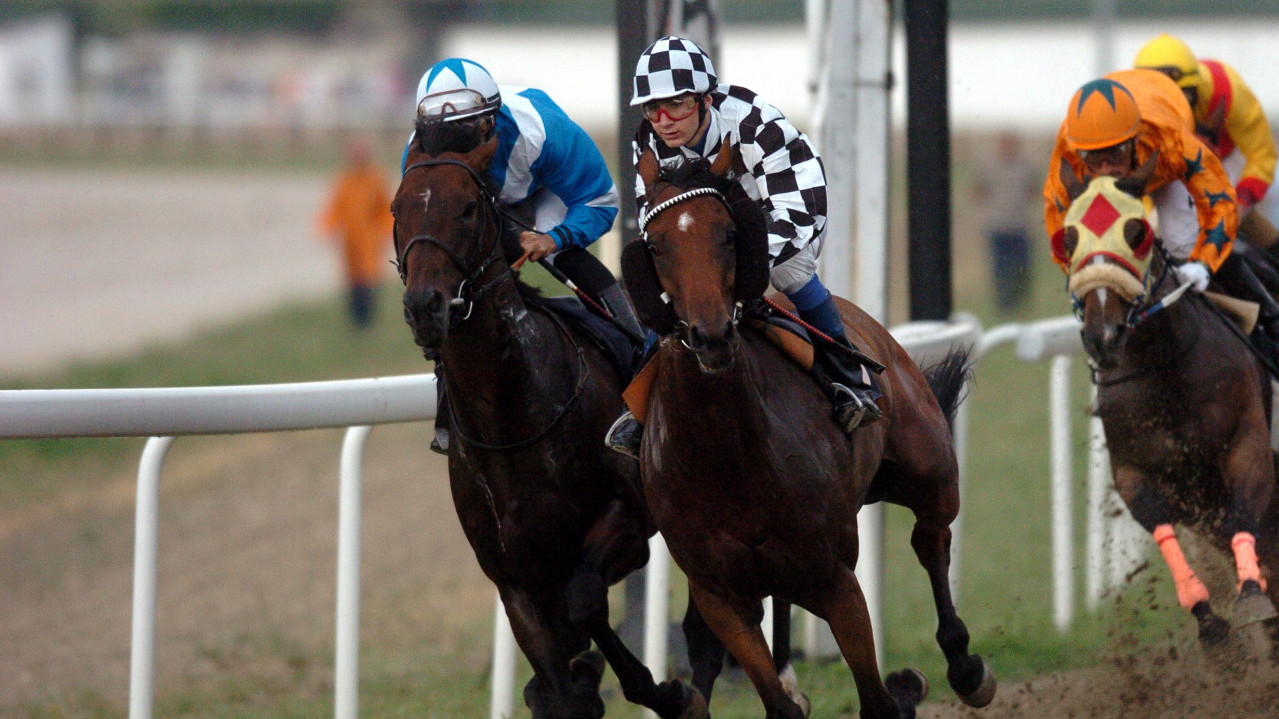 KUP SREMA: U nedelju trke konja u Sremskoj Mitrovici