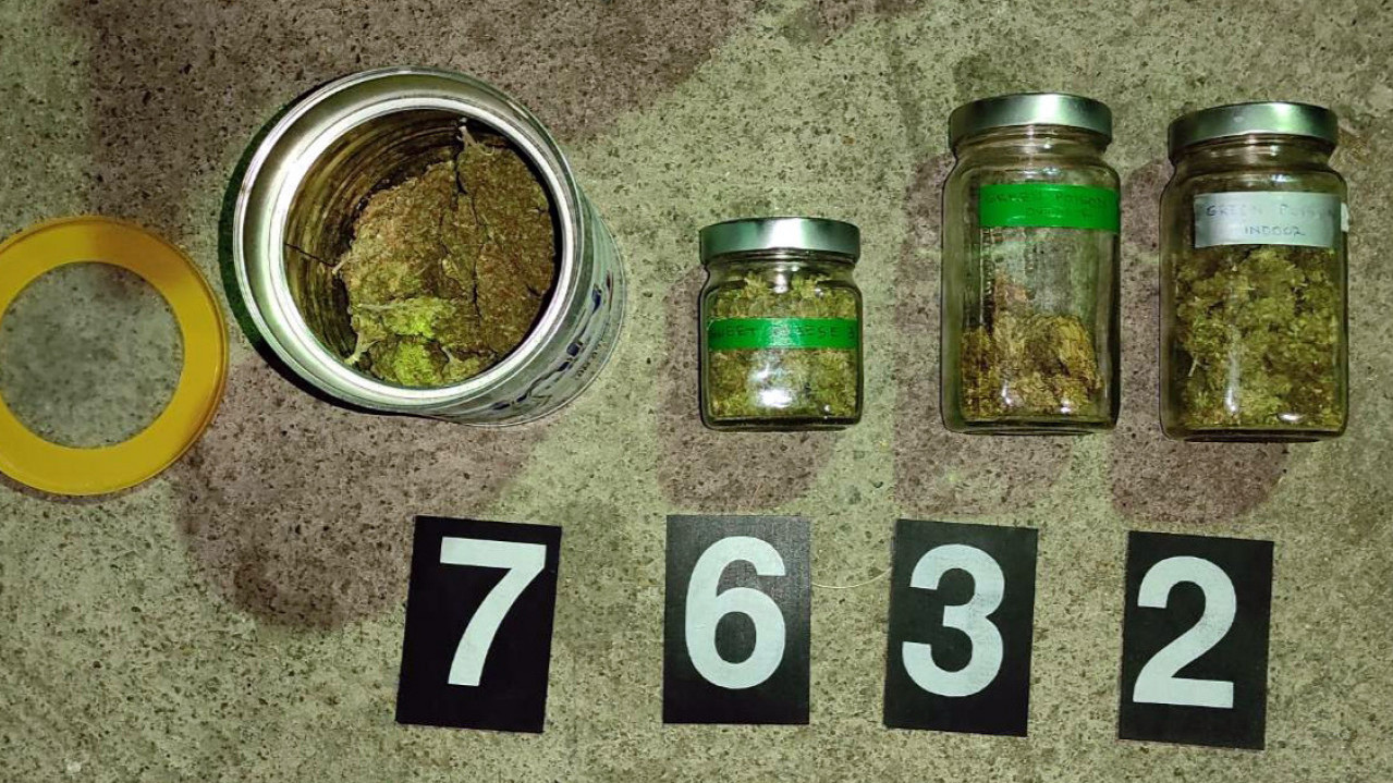 AKCIJA GNEV: Zaplena marihuane u Sokobanji