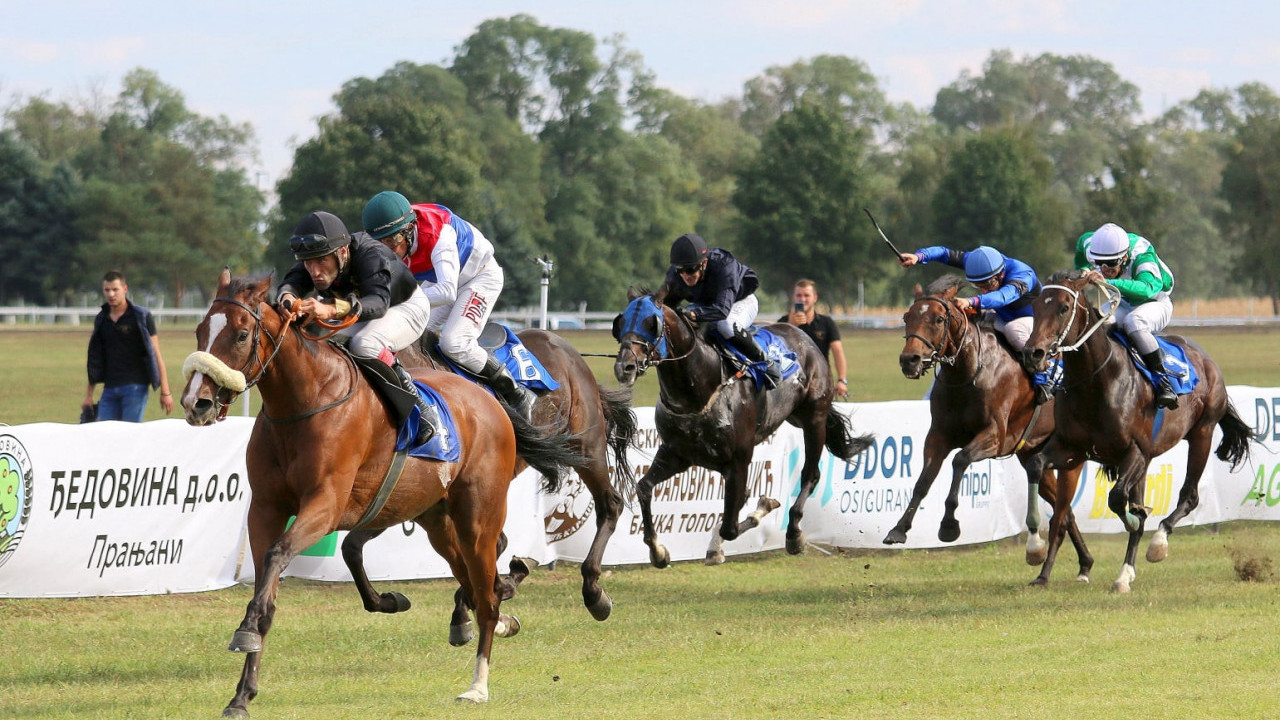 VLADA SRBIJE:Razvoj konjičkog sporta od posebnog značaja