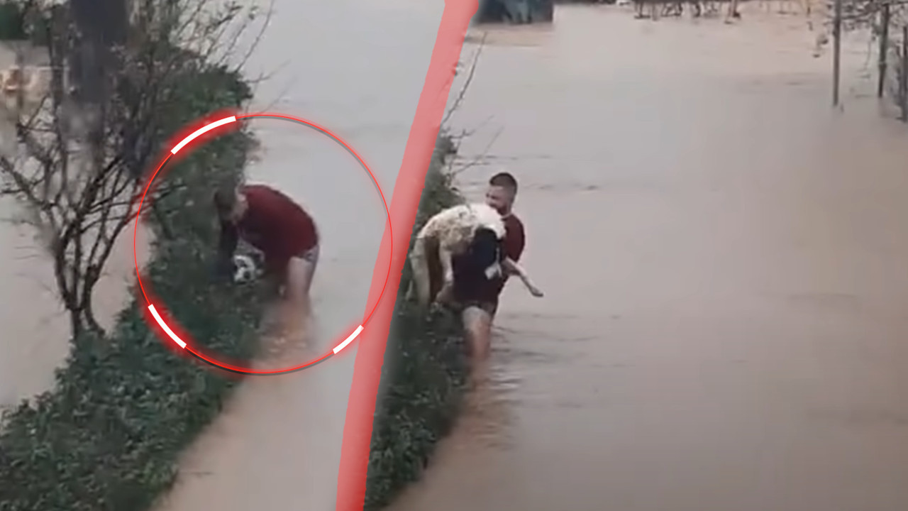 ДАХ РАЈА УСРЕД ПАКЛА Босанац је херој, спасио пса из поплава