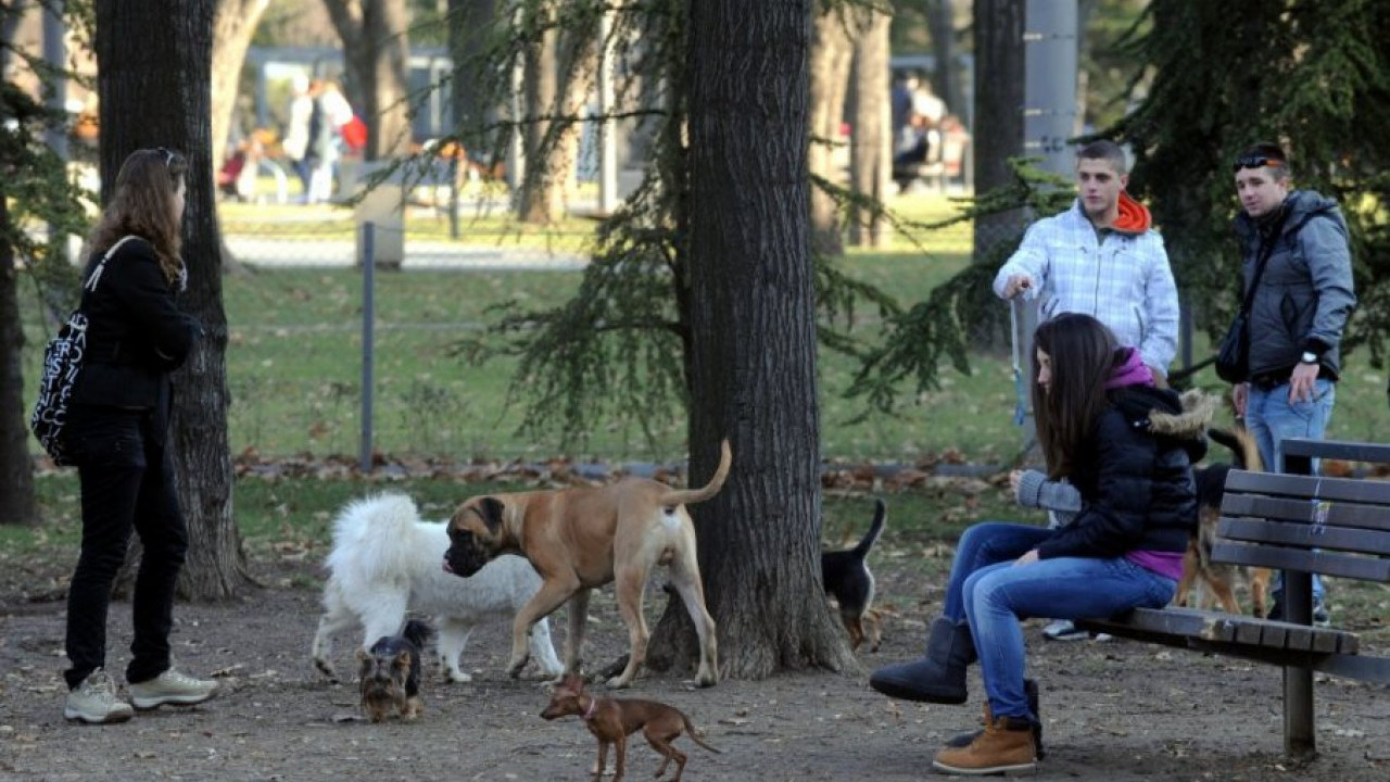 Beograd dobija dva parka za pse na atraktivnim lokacijama