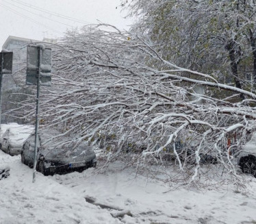 HAOS U HRVATSKOJ: Stabla padala na aute - građani bez struje