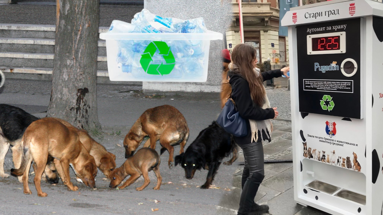 RECIKLAŽA U BG-U: Ubaciš flašu u automat, izađe hrana za pse
