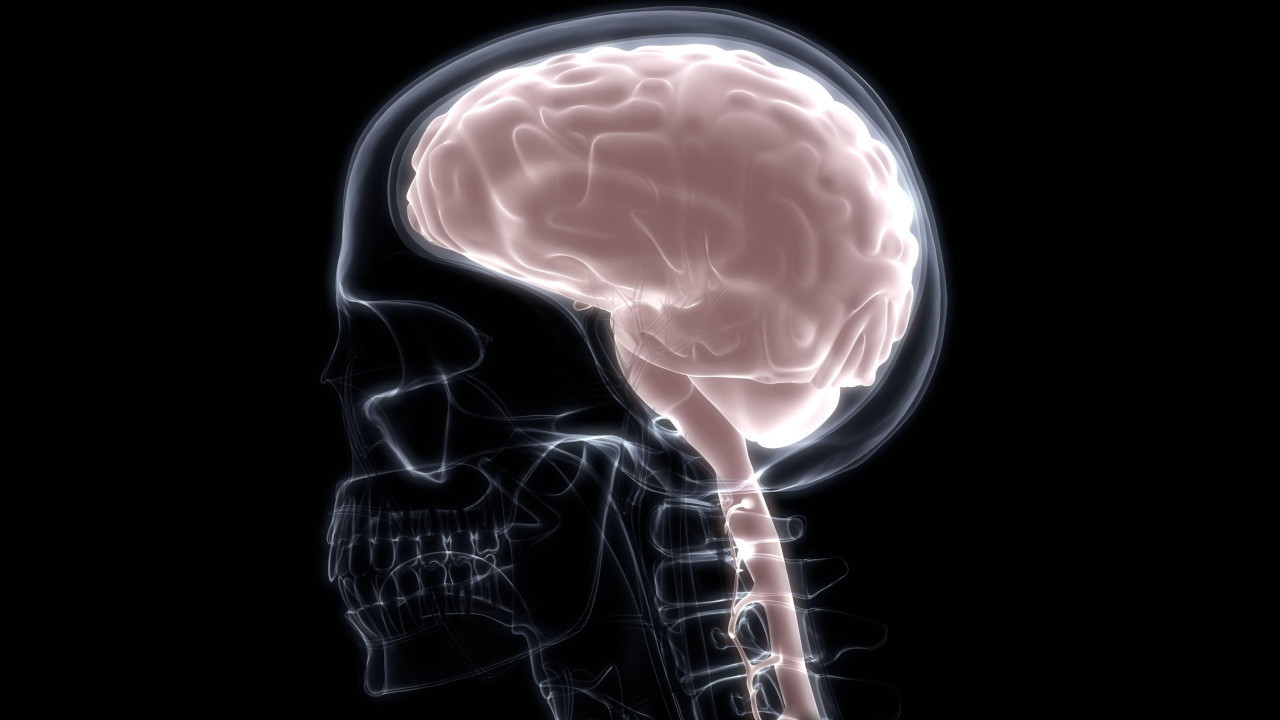 АКТИВНОСТ СЛИЧНА САЊАЊУ: Прво скенирање умирућег мозга