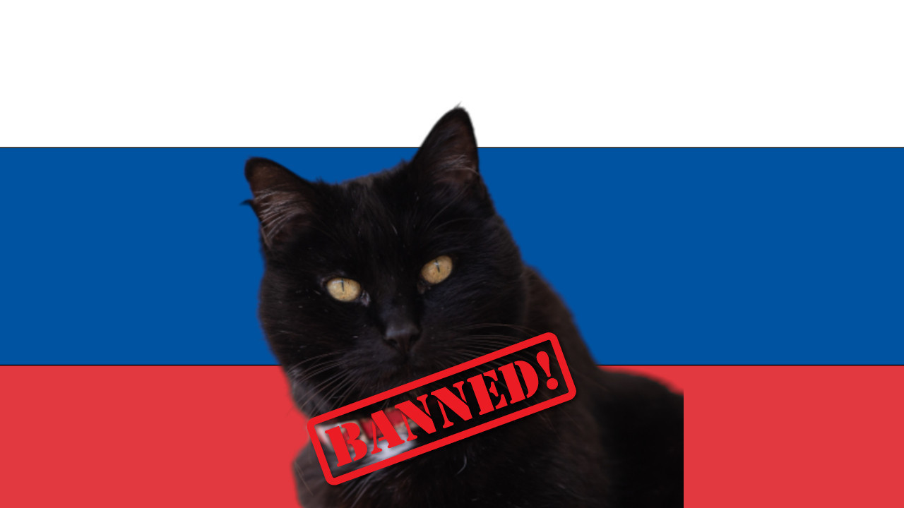 БИЗАРНО! Руским мачкама забрањено такмичење?