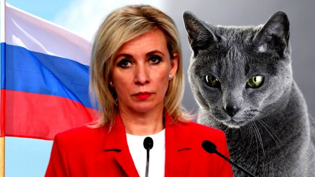 SANKCIJE ZA RUSKE MAČKE: Zaharova o potezima Zapada