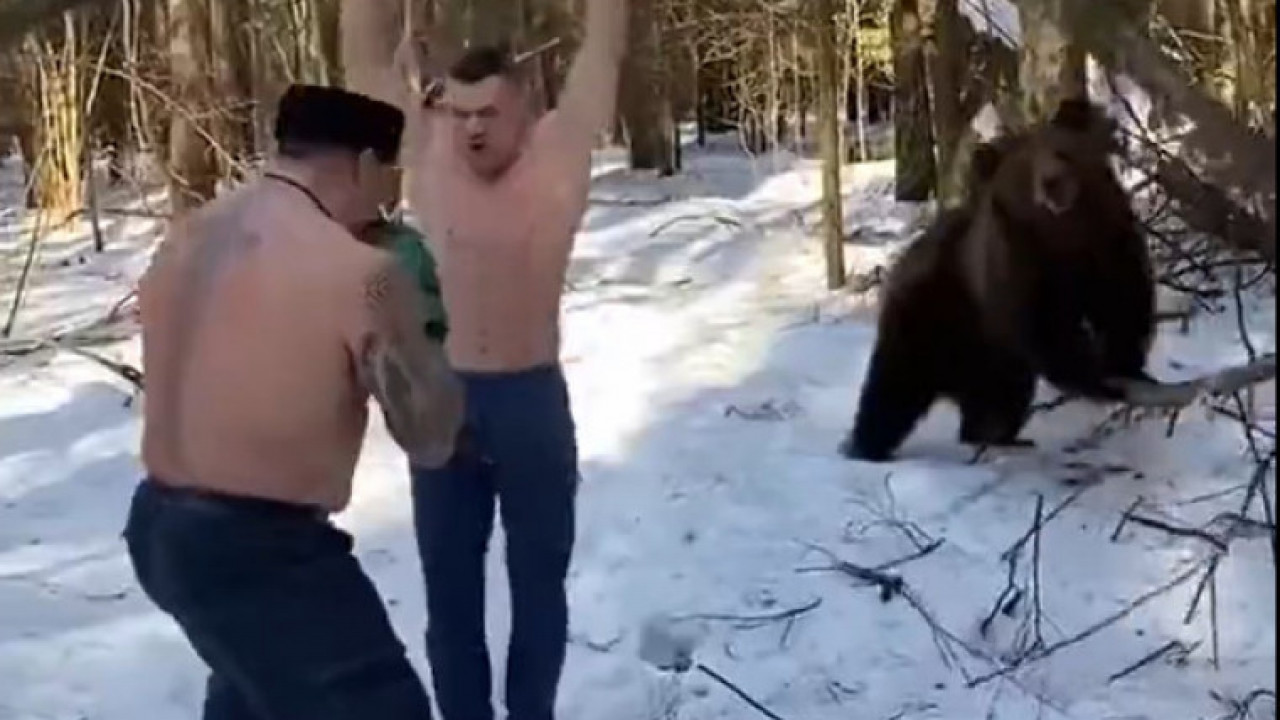 УРНЕБЕСНИ ХИТ: Они тренирају - медвед асистира! (ВИДЕО)