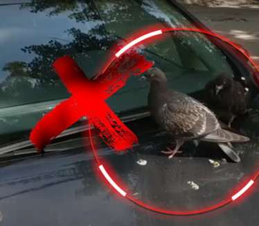 МОГУЋА ТРАЈНА ОШТЕЋЕЊА: Како очистити птичји измет са кола?