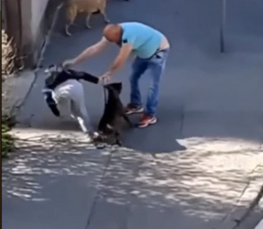 UŽASAN VIDEO: Muškarac tukao ženu nasred ulice u Zemunu