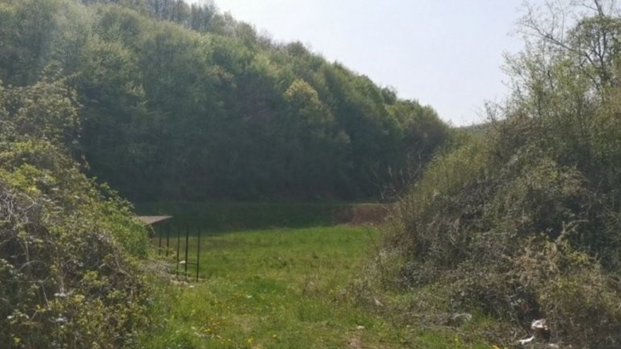 Албанске шумокрадице пуцале на српску полицију