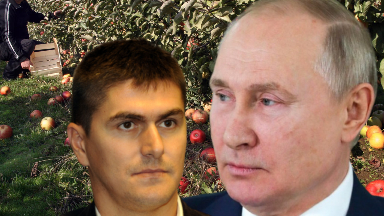 "МОГАО СИ МЕ ИСПОШТОВАТИ" Миличић Путину - јабуке су проблем