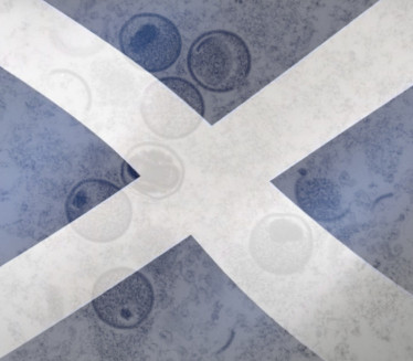 МАЈМУНСКЕ БОГИЊЕ: Потврђен први случај у Шкотској