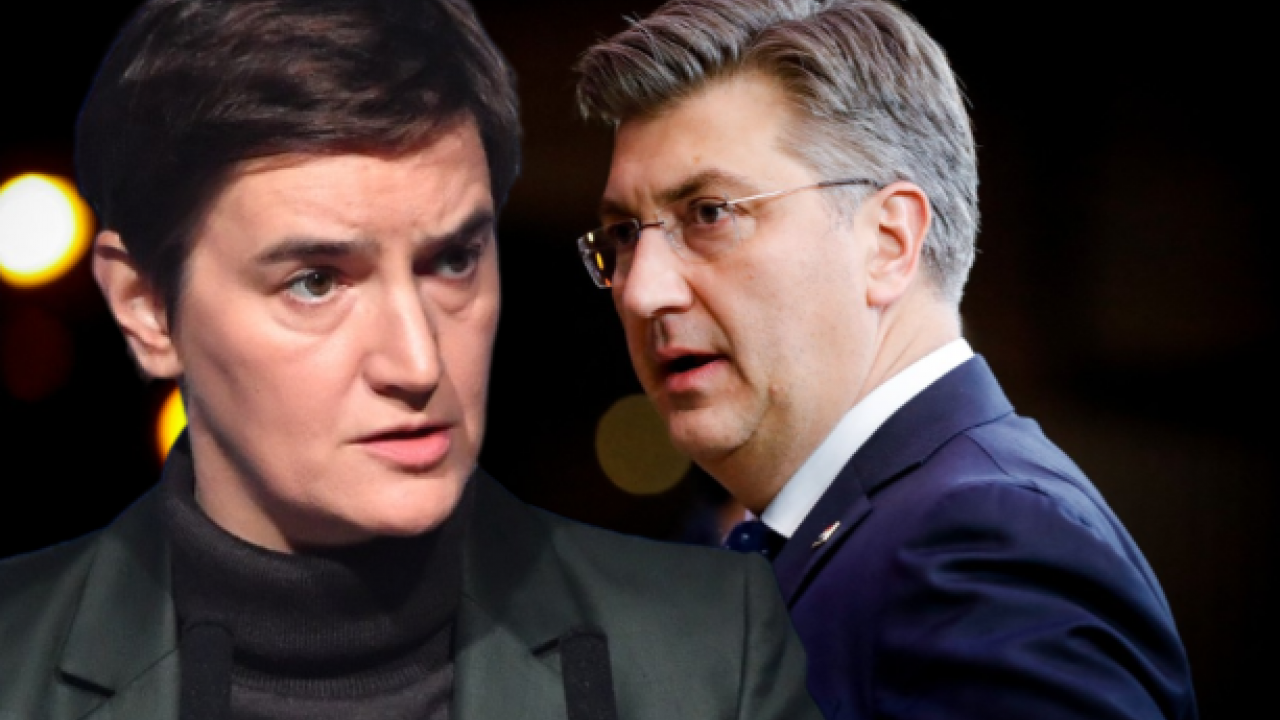 PLENKOVIĆ: Izjava Brnabić o etnički čistoj HR je smešna