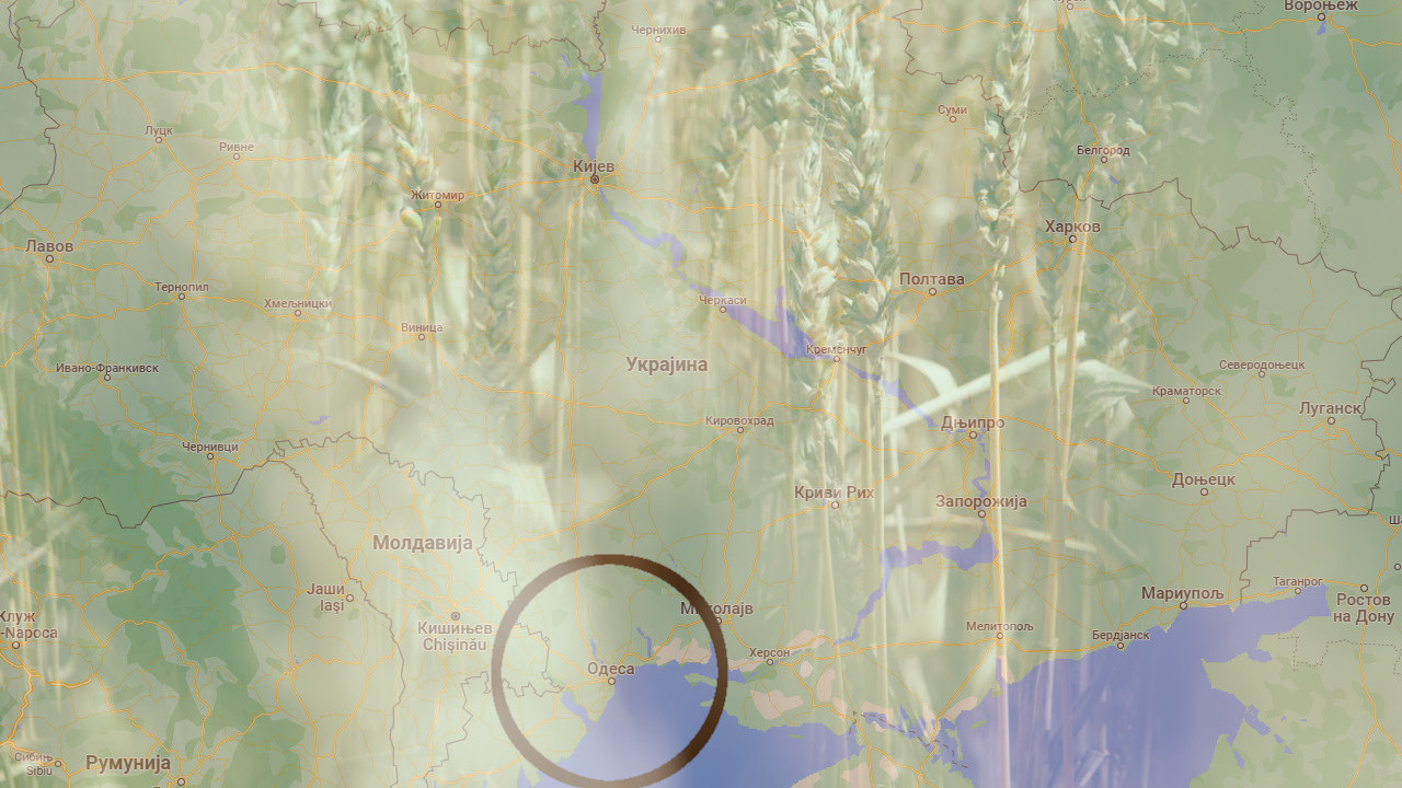 ŽITNI KORIDOR: Turci nude deminere, Kijev sumnjičav