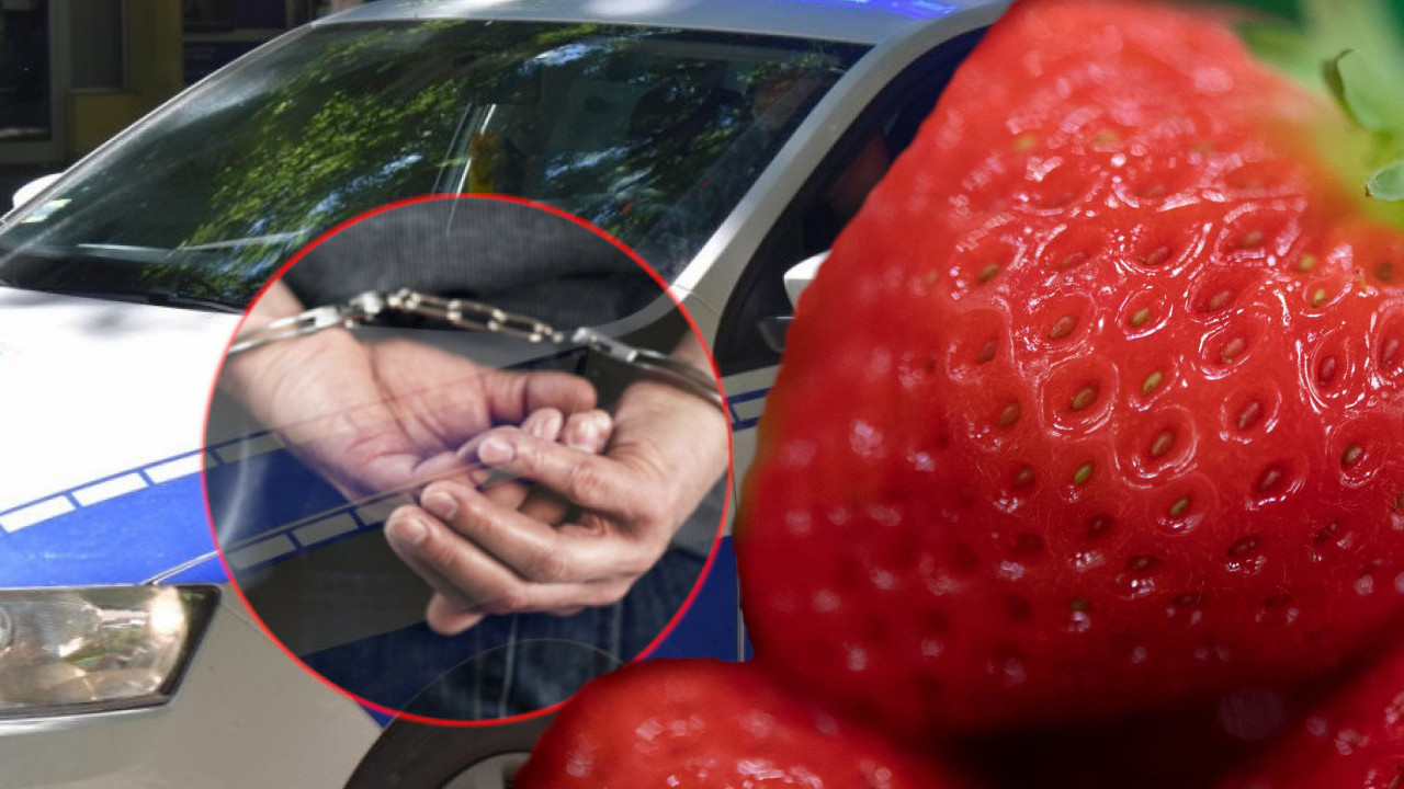 ПРОДАВАО ЈАГОДЕ И ХЕРОИН: У близини дечијег луна парка