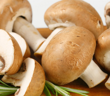 ВЕЧИТА НЕДОУМИЦА: Да ли се печурке перу пре припреме јела?