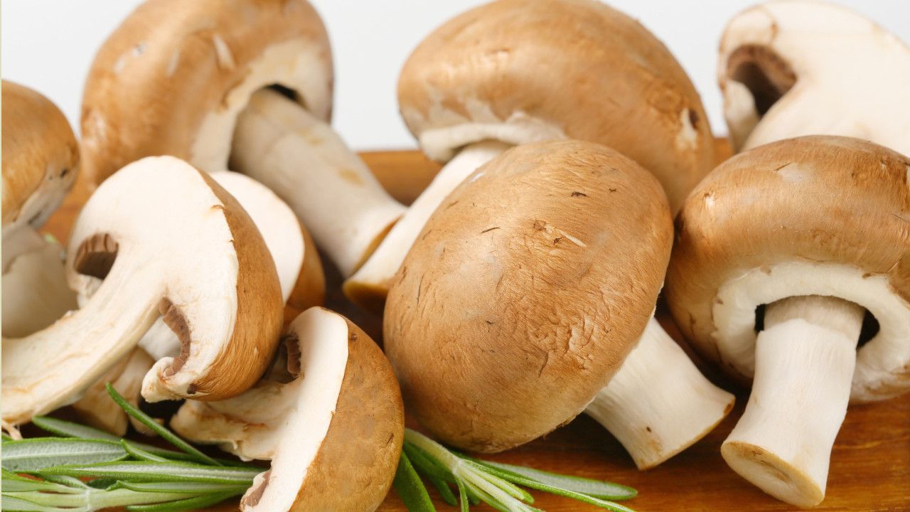 ВЕЧИТА НЕДОУМИЦА: Да ли се печурке перу пре припреме јела?