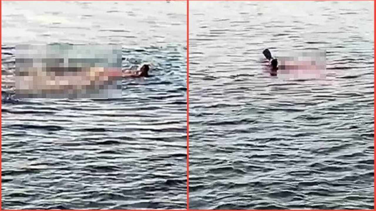 ТРАГЕДИЈА У ЕГИПТУ: Ајкула усмртила жену код Хургаде (ВИДЕО)