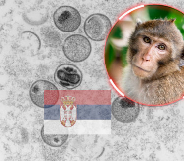 САОПШТЕЊЕ БАТУТА: 23 случаја мајмунских богиња у Србији