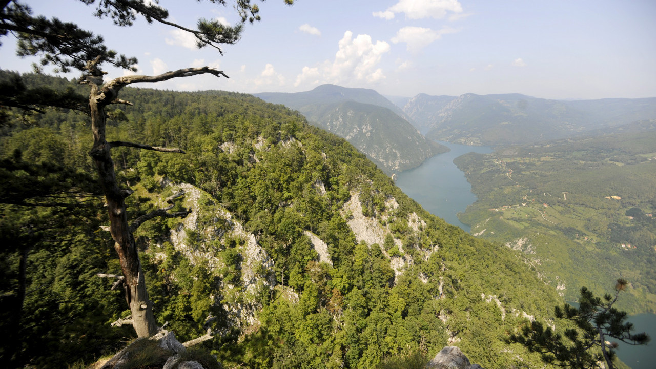 TRAGIČNE VESTI: Poginuo član filmske ekipe na Tari