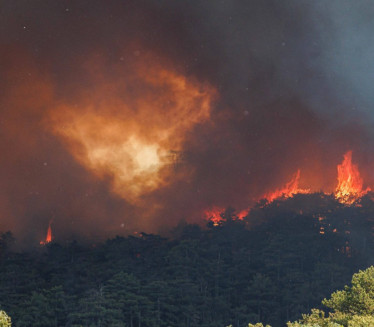 У НЕДОСТАТКУ КАНАДЕРА Црној Гори изгори 100 км² шуме годишње