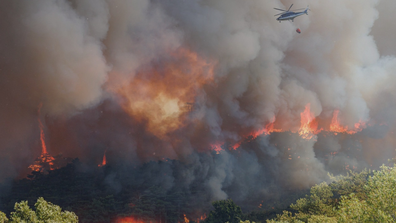 GORI SLOVENIJA: Snimak požara iz vazduha