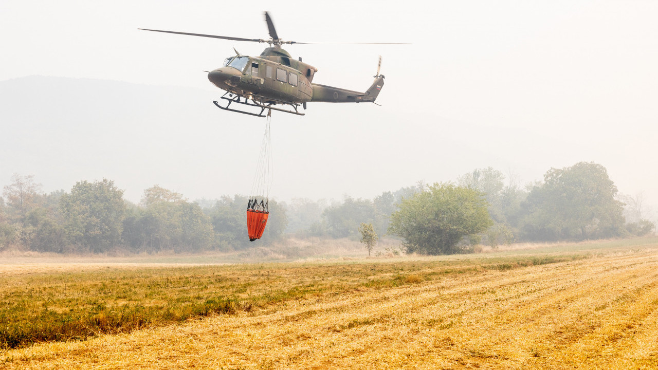 POŽAR NA TARI: Velika borba sa vatrenom stihijom