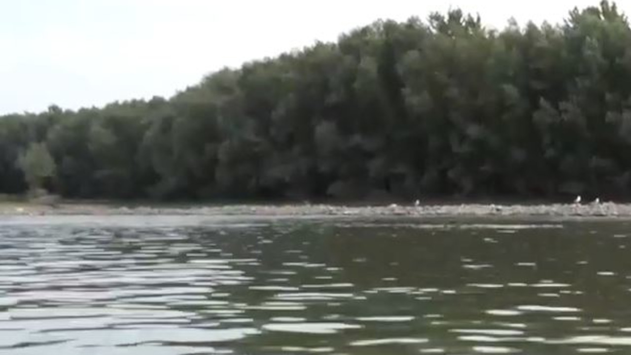 ИЗВУЧЕН ЛЕШ: Стравичне сцене на Дунаву