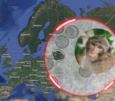 ПРВА ЖРТВА: Мајмунске богиње однеле живот у Европи