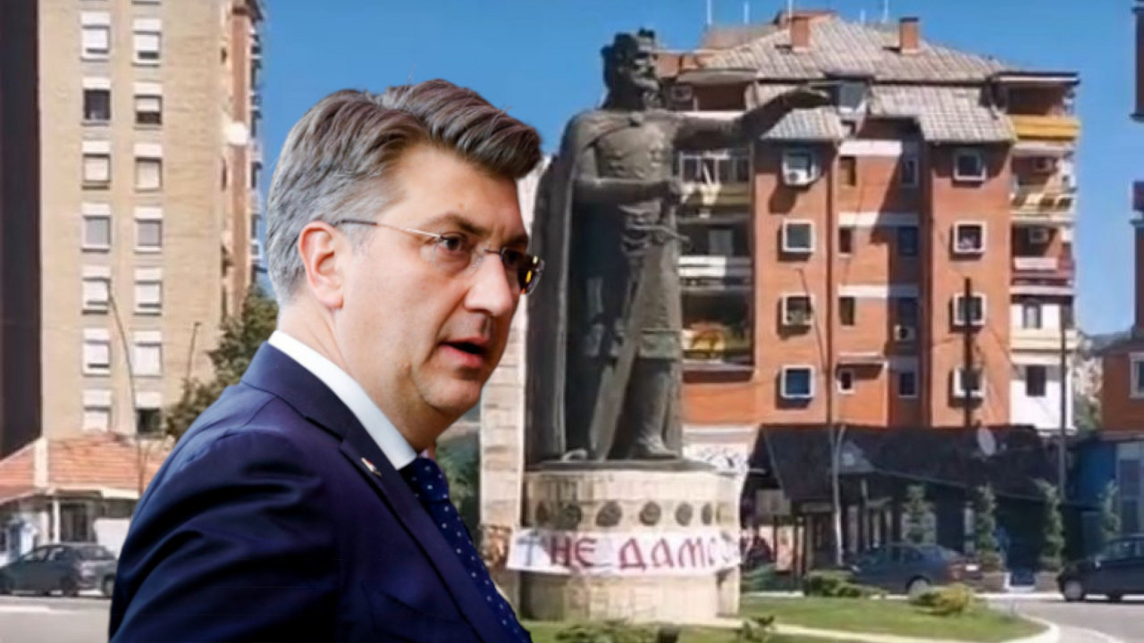 ПЛЕНКОВИЋ О ТЕНЗИЈАМА НА КИМ: Истрајати на миру и дијалогу