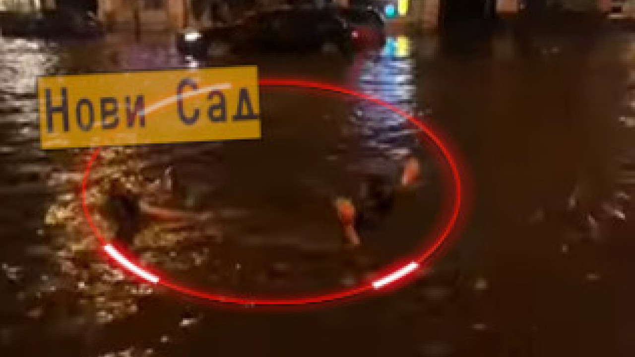 НЕВЕРИЦА: Улице НС потопљене, младић плива леђним стилом