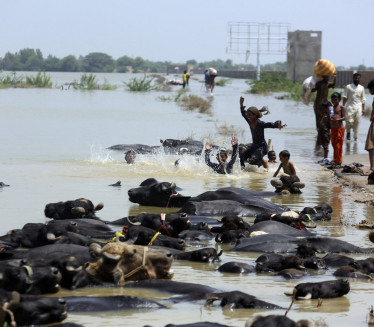 ODNELE 300 ŽIVOTA: Nove poplave prete Nigeriji