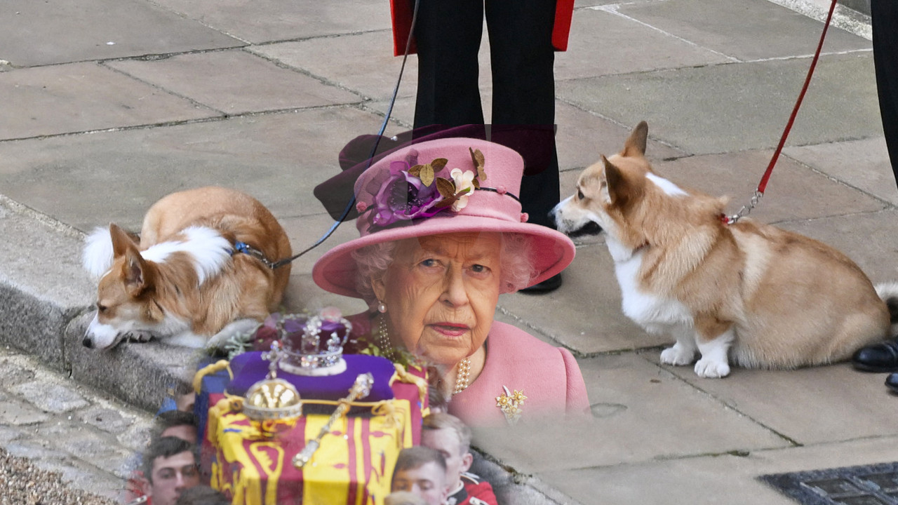 I ONI PATE: Tužna scena - kraljičini psi čekaju njen kovčeg