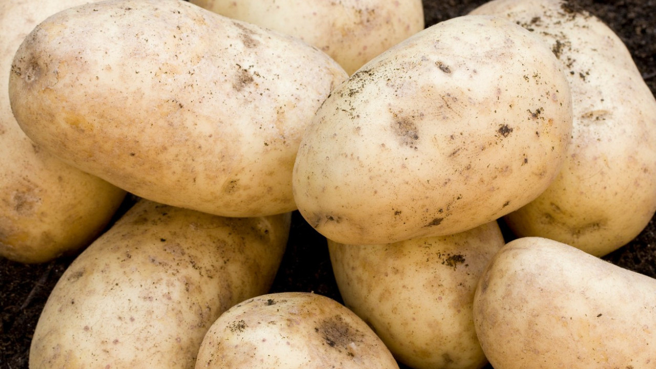 TRIK ZA KUVANJE KROMPIRA: Nikad se neće raspadati!
