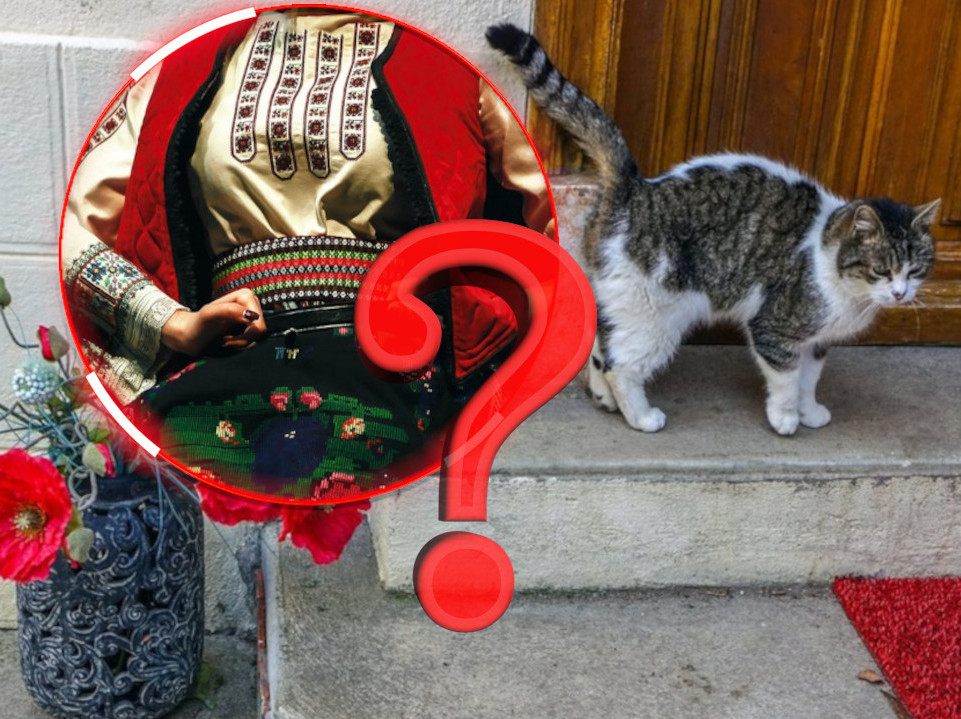 СТАРО ВЕРОВАЊЕ: Шта значи ако вам туђа мачка дође на праг?