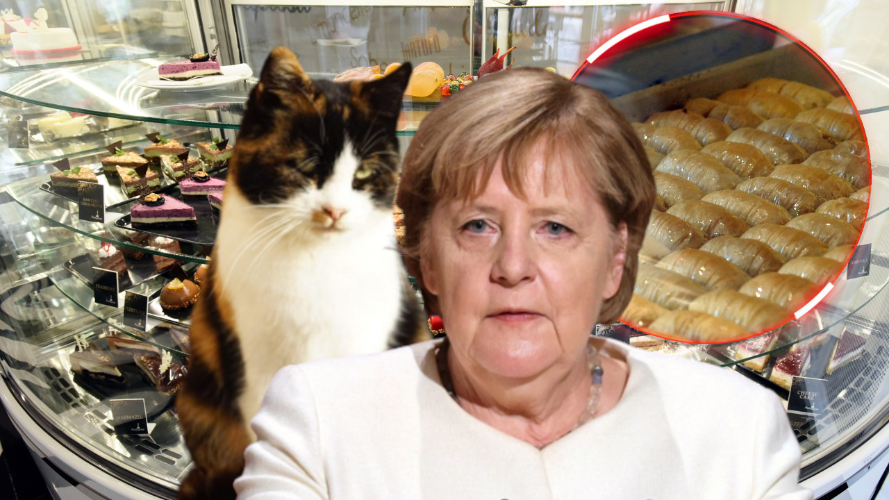 BAKLAVA ANGELA MERKEL I MAČKA Čudne scene iz poslastičarnice