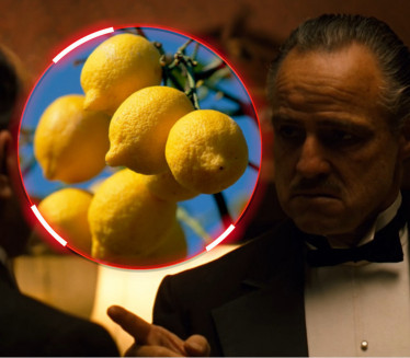 NEOBIČNA VEZA Kako je limun povezan sa italijanskom mafijom?