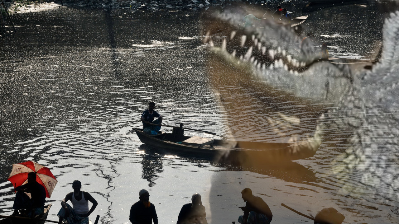 KROKODIL POJEO BEBU: Zver otela dečaka iz čamca