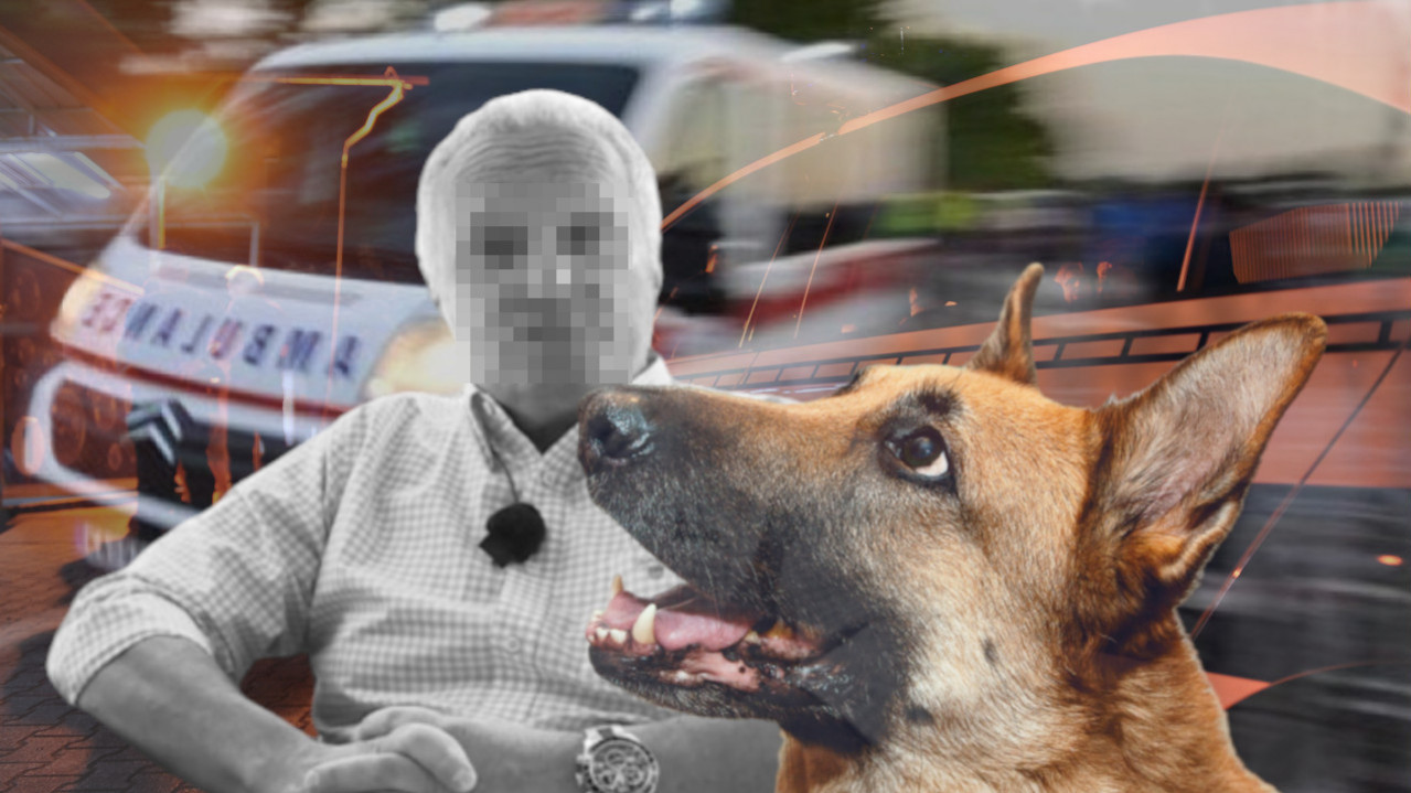 ОВО ЈЕ ПРЕМИНУЛИ ЧОВЕК: Аналитичара усмртили пси на Космају