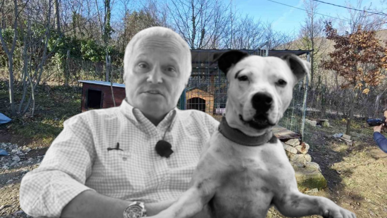 BRANILI TERITORIJU? Stručnjaci otkrivaju kada psi napadaju