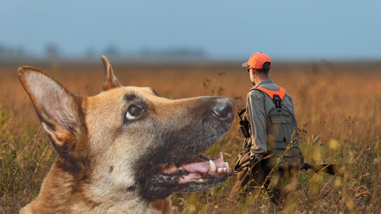 БИЗАРАН СЛУЧАЈ: Несрећа у лову - пас пушком УСМРТИО ловца