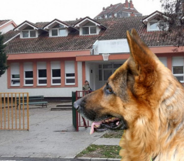 UŽAS U ŠKOLI Vlasnički pas ponovo ujeo dete, 2 verzije priče