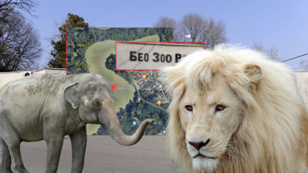 KALEMEGDAN U UNESKO: Šapić o razlozima premeštanja zoo-vrta